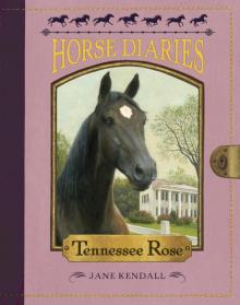 Tennessee Rose Read online