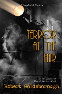 Terror at the Fair (A Snap Malek Mystery) Read online