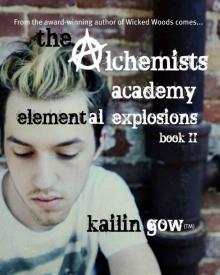 The Alchemists Academy Book 2: Elemental Explosions Read online