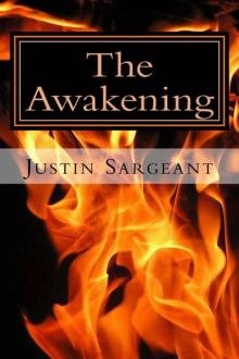 The Awakening (The Stones of Revenge)