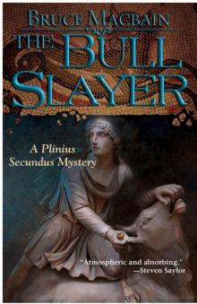 The Bull Slayer: A Plinius Secundus Mystery Read online
