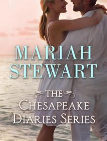 The Chesapeake Diaries Series 7-Book Bundle: Coming HOme, Home Again, Almost Home, Hometown Girl, Home for the Summer, The Long Way Home, At the River's Edge