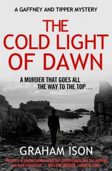 The Cold Light of Dawn (Gaffney and Tipper Mysteries Book 1) Read online