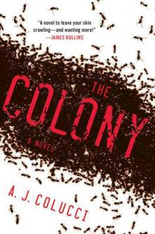 The Colony