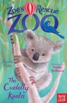The Cuddly Koala Read online