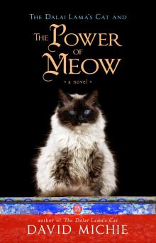 The Dalai Lama's Cat and the Power of Meow Read online