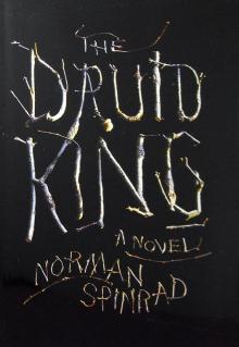 The Druid King Read online