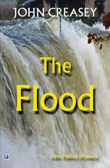 The Flood Read online
