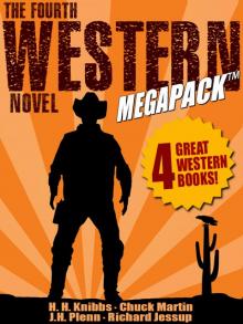 The Fourth Western Novel