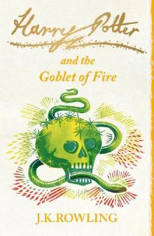 The Goblet of Fire Read online