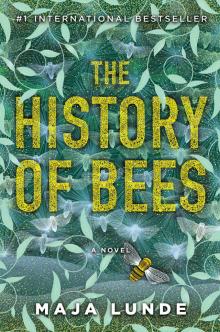 The History of Bees Read online