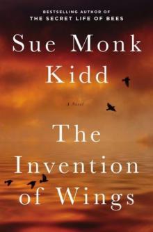 The Invention of Wings: A Novel Read online