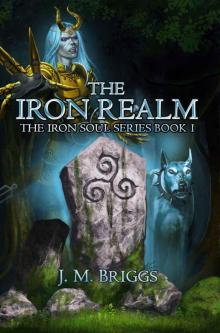 The Iron Realm (The Iron Soul Book 1)