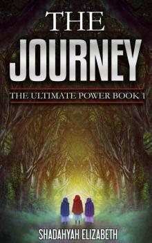 The Journey: The Ultimate Power Book 1