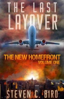 The Last Layover Read online