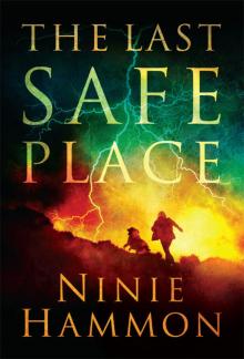 The Last Safe Place Read online