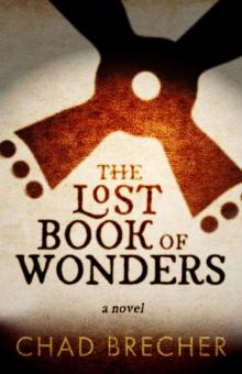 The Lost Book of Wonders Read online