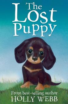 The Lost Puppy Read online