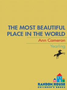 The Most Beautiful Place in the World Read online