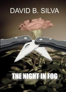 The Night In Fog Read online
