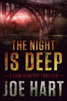 The Night Is Deep (A Liam Dempsey Thriller Book 2) Read online