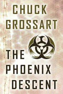 The Phoenix Descent Read online