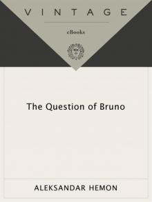 The Question of Bruno Read online