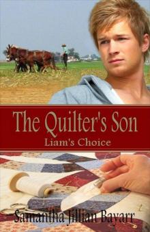 The Quilter's Son: Book One: Liam's choice (An Amish Christian Romance)