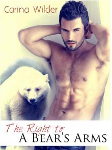 The Right to a Bear's Arms (A BBW Shifter Romance) (Wolf Rock Shifters) Read online
