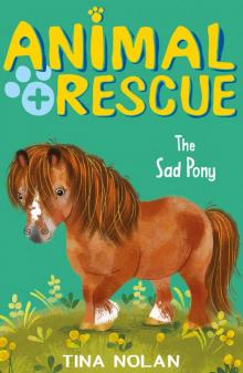 The Sad Pony Read online