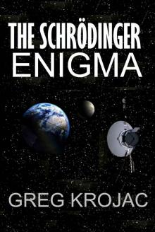 The Schrödinger Enigma Read online