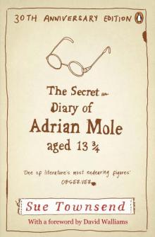The Secret Diary of Adrian Mole Aged 13 3/4 (Adrian Mole 1)