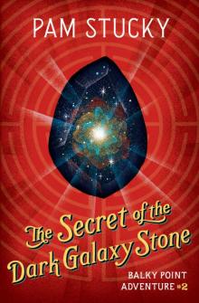 The Secret of the Dark Galaxy Stone (Balky Point Adventures Book 2) Read online