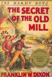 The Secret Of The Old Mill thb-3 Read online