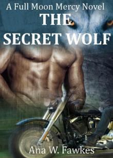 The Secret Wolf (A Full Moon Mercy Novel) (shifter / MC romance) Read online