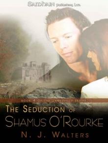 The Seduction of Shamus O'Rourke j-4 Read online