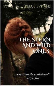 The Stern and Wild Ones (The Seeker Series)