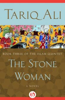 The Stone Woman Read online