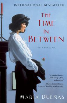 The Time in Between: A Novel Read online
