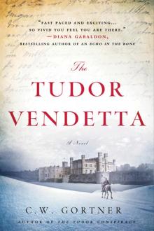 The Tudor Vendetta Read online