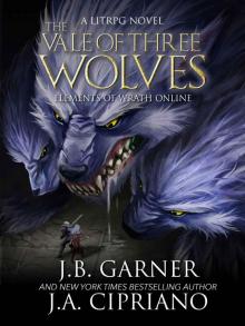 The Vale of Three Wolves: A LitRPG Adventure (Elements of Wrath Online Book 2) Read online