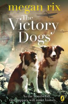 The Victory Dogs Read online