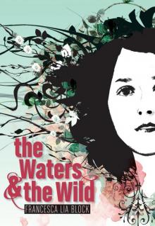 The Waters & the Wild Read online