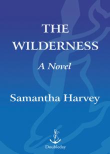 The Wilderness Read online