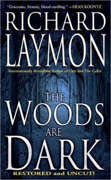 The Woods Are Dark Read online