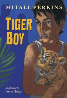 Tiger Boy Read online
