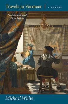 Travels in Vermeer Read online