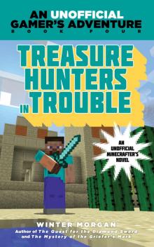 Treasure Hunters in Trouble Read online