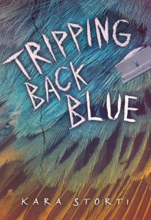 Tripping Back Blue