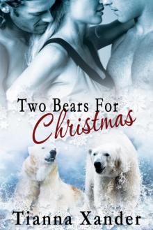 Two Bears For Christmas Read online